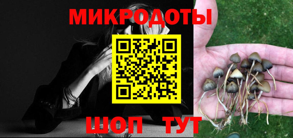 Галлюциногенные грибы GOLDEN TEACHER Ялуторовск