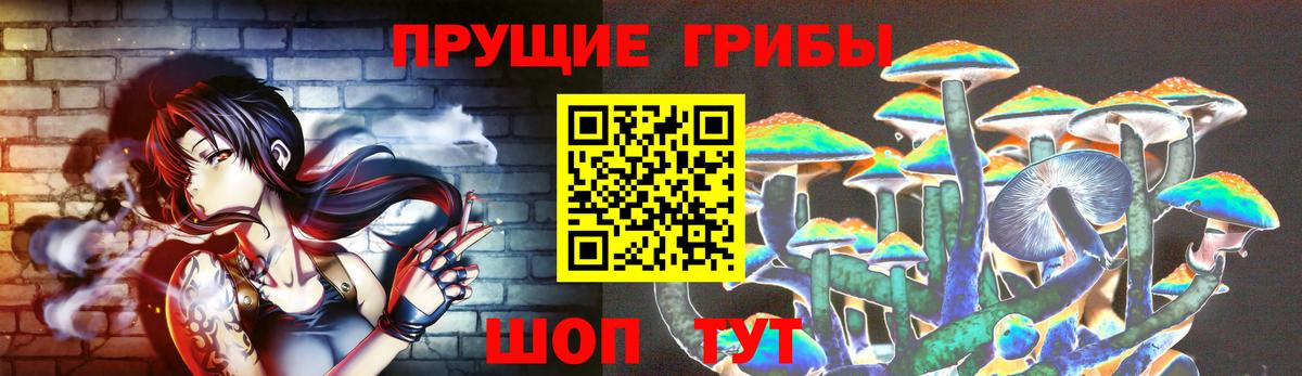 купить наркотик  Галлюциногенные грибы прущие грибы  Вход с VPN  Ялуторовск 